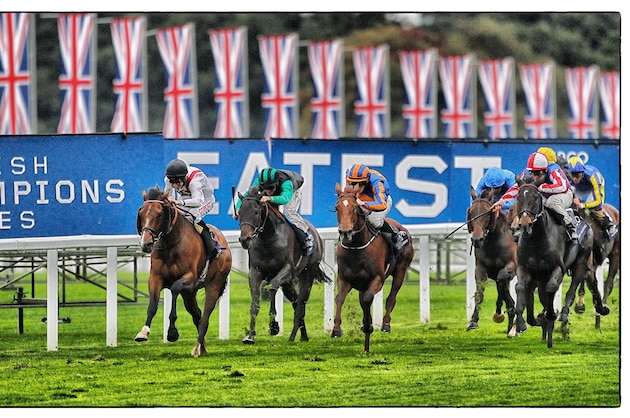 ASCOT, ENGLAND - OCTOBER 19: (EDITORS NOTE: This image was processed using digital filters) Johnny Murtagh riding Royal Diamnond (R) win The Qipco British Champion Long Distance Cup at Ascot racecourse on October 19, 2013 in Ascot, England. (Photo by Alan Crowhurst/Getty Images for Ascot Racecourse)