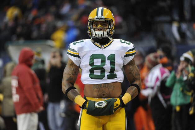 CHICAGO, IL - DECEMBER 29: Andrew Quarless #81 of the Green Bay Packers during a game against the Chicago Bears on December 29, 2013 at Soldier Field in Chicago, Illinois.  (Photo by David Banks/Getty Images)