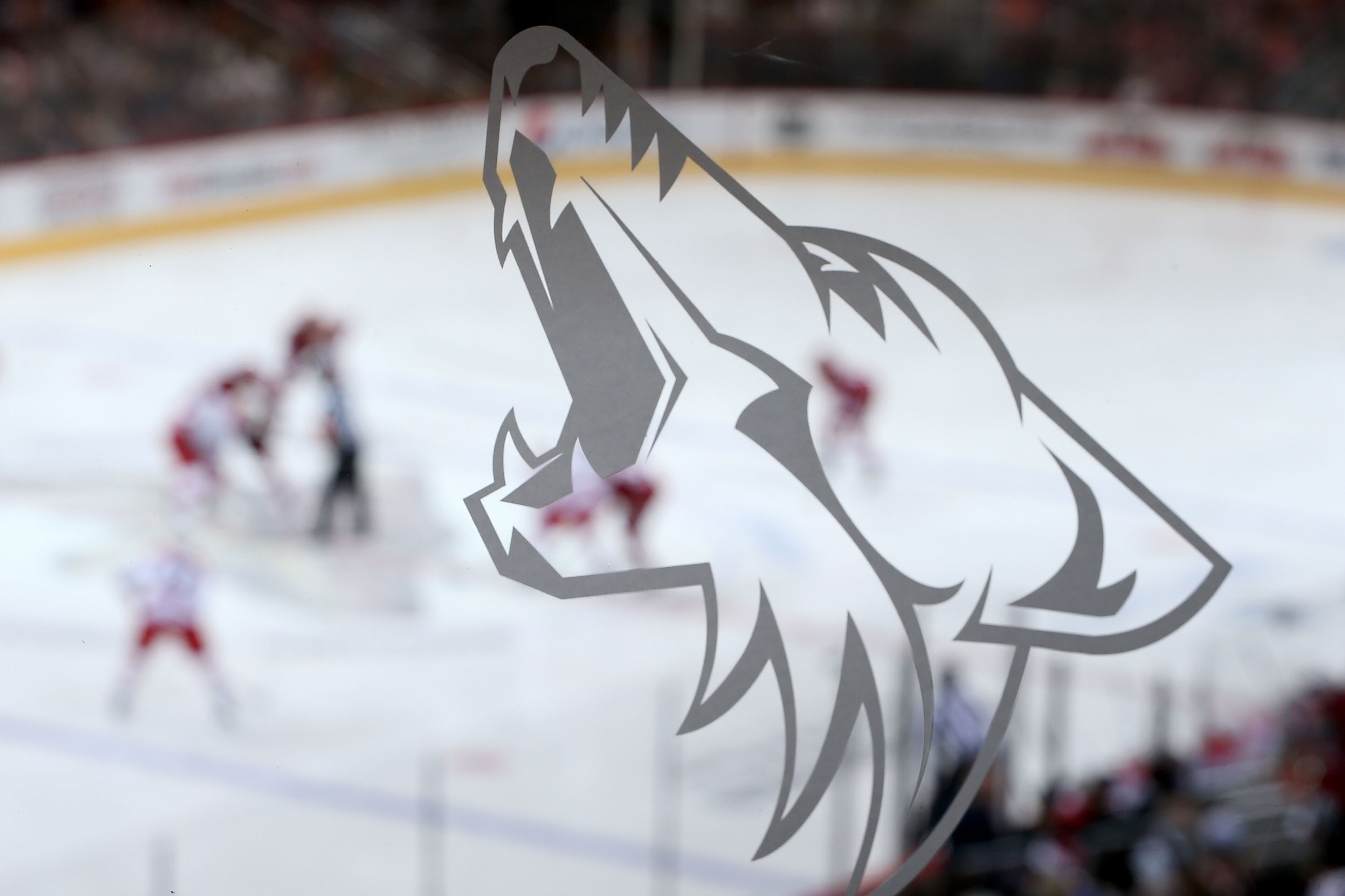 GLENDALE, AZ - DECEMBER 14: A Coyote's logo is depicted on a glass railing as the Phoenix Coyotes face off against the Carolina Hurricanes during the NHL game at Jobing.com Arena on December 14, 2013 in Glendale, Arizona. (Photo by Christian Petersen/Getty Images) GLENDALE, AZ - DECEMBER 14: A Coyote's logo is depicted on a glass railing as the Phoenix Coyotes face off against the Carolina Hurricanes during the NHL game at Jobing.com Arena on December 14, 2013 in Glendale, Arizona. (Photo by Christian Petersen/Getty Images)