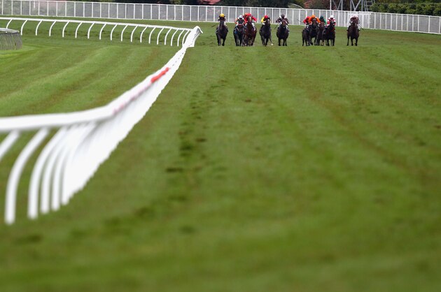 SYDNEY, AUSTRALIA - APRIL 23:  The field rounds the home turn in the Flinders Lane Frank Packer Plate on AJC Queen Elizabeth Stakes Day at Royal Randwick Racecourse on April 23, 2011 in Sydney, Australia.  (Photo by Ryan Pierse/Getty Images)