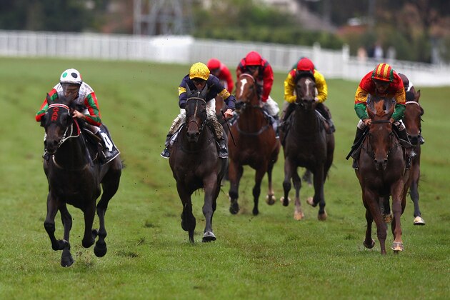 SYDNEY, AUSTRALIA - APRIL 23:  Shootoof (L) riden by Michael Rodd wins the Flinders Lane Frank Packer Plate on AJC Queen Elizabeth Stakes Day at Royal Randwick Racecourse on April 23, 2011 in Sydney, Australia.  (Photo by Ryan Pierse/Getty Images)