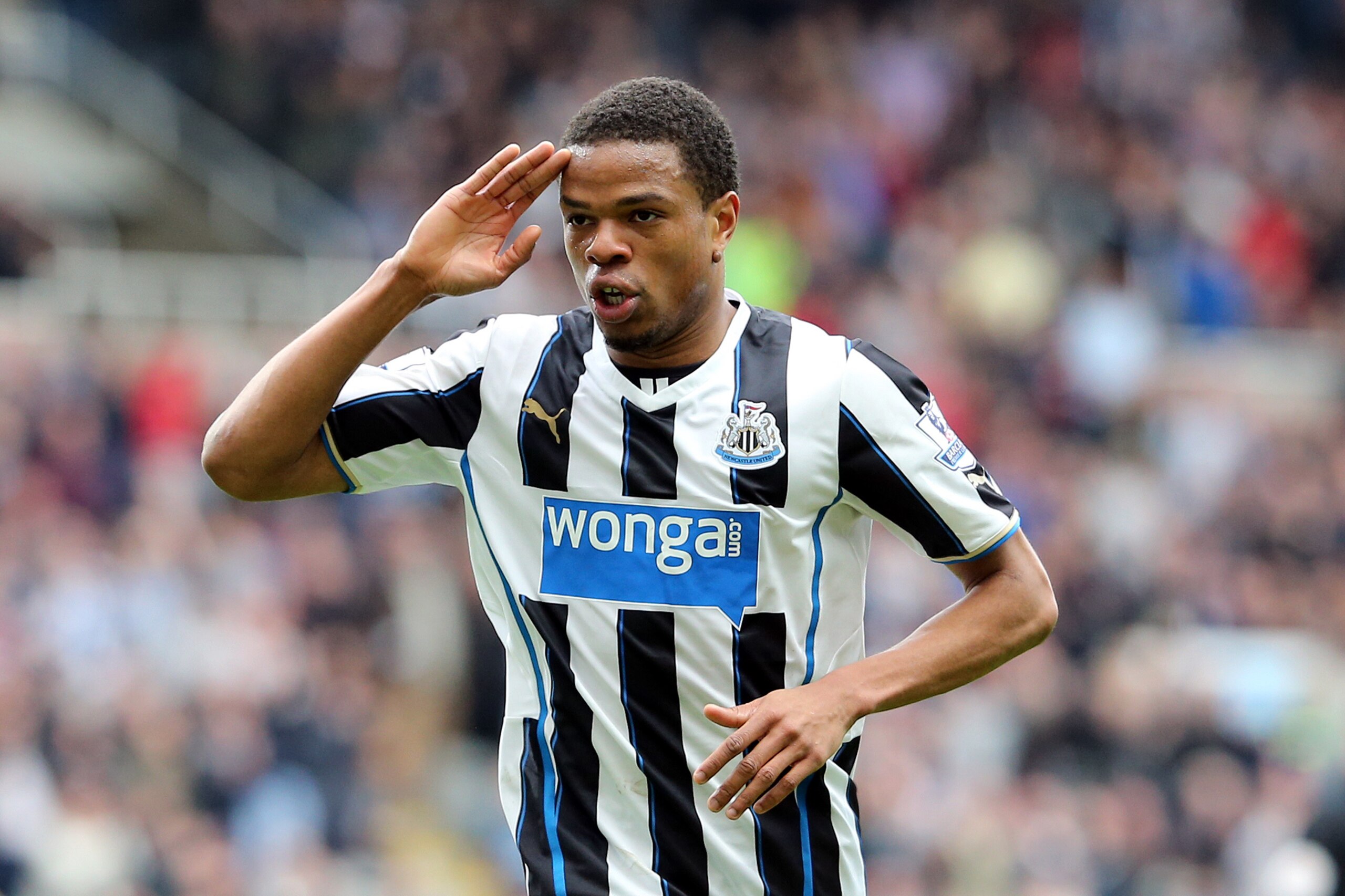 Newcastle United's Loic Remy celebrates his goal  during their English Premier League soccer match against Cardiff City at St James' Park, Newcastle, England, Saturday, May 3, 2014. (AP Photo/Scott Heppell)