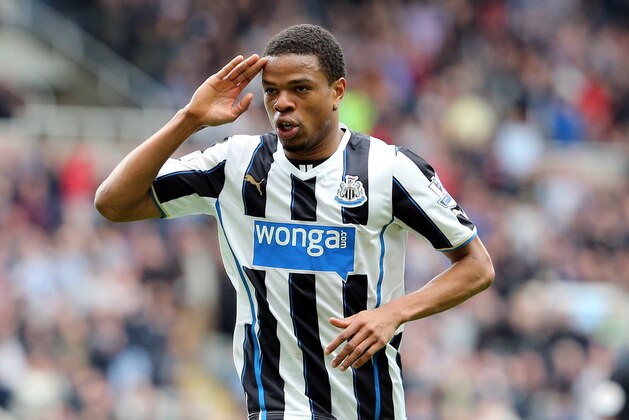 Newcastle United's Loic Remy celebrates his goal  during their English Premier League soccer match against Cardiff City at St James' Park, Newcastle, England, Saturday, May 3, 2014. (AP Photo/Scott Heppell)