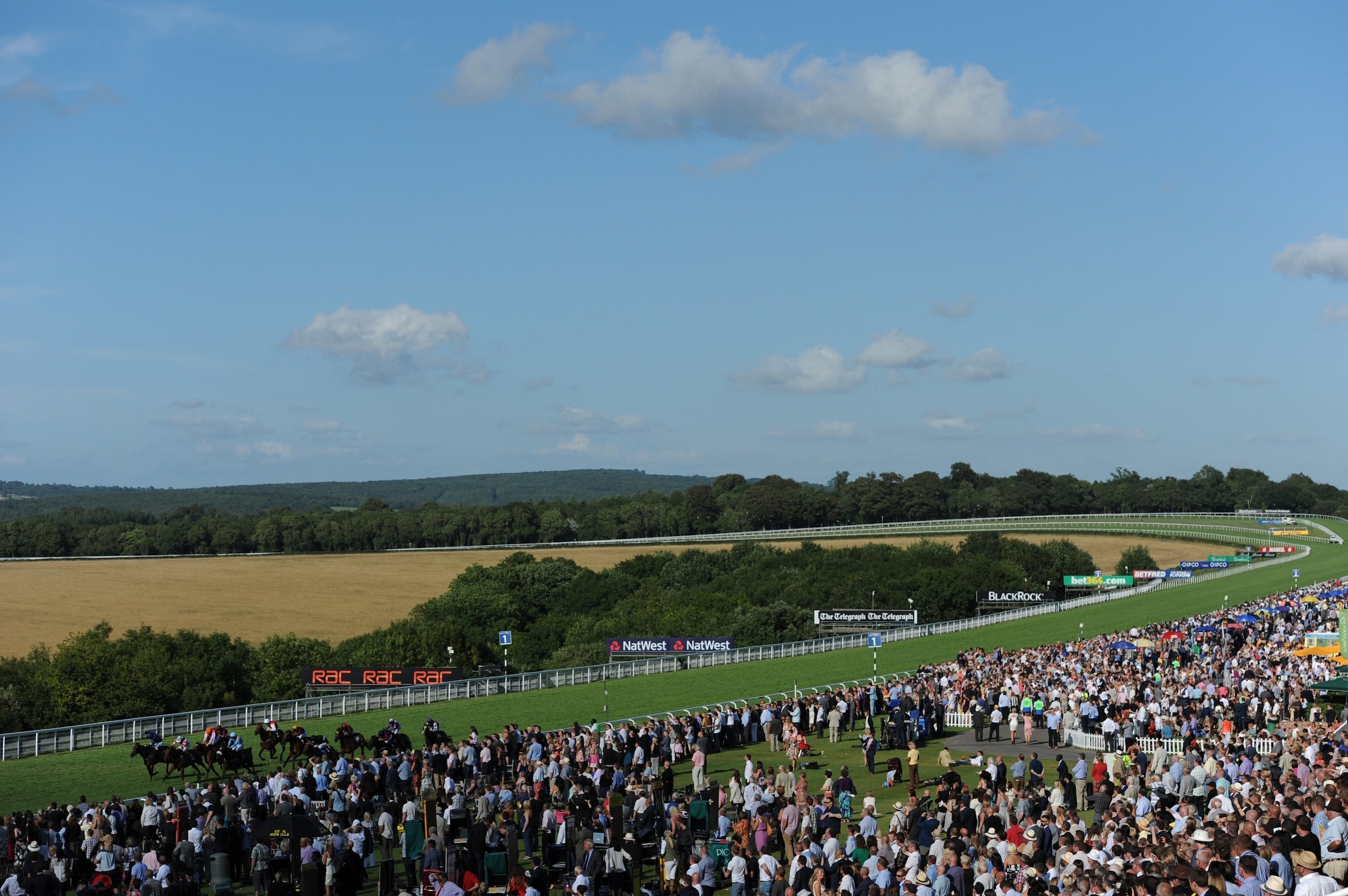 CHICHESTER, ENGLAND - AUGUST 03: A General view of the crowds and racing on the final day of Glorious Goodwood at Goodwood on August 3, 2013 in Chichester, England. (Photo by Steve Bardens/Getty Images)