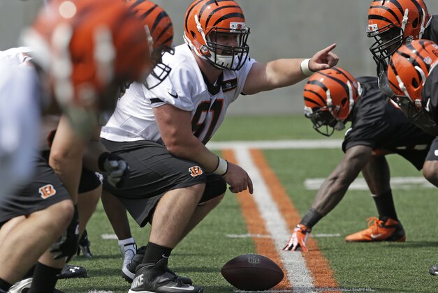 Cincinnati Bengals fourth round draft pick Russell Bodine, a center from North Carolina, calls a play during an NFL football organized team activity, Tuesday, May 27, 2014, in Cincinnati.  (AP Photo/Al Behrman)