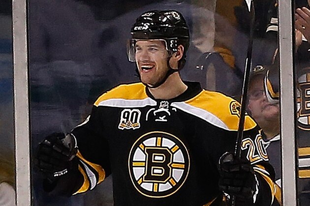 BOSTON, MA - FEBRUARY 4:  Daniel Paille #20 of the Boston Bruins reacts after his goal in the second period against the Vancouver Canucks at TD Garden on February 4, 2014 in Boston, Massachusetts.  (Photo by Jim Rogash/Getty Images)