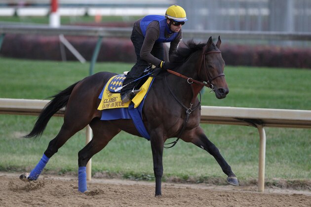 LOUISVILLE, KY - NOVEMBER 03:  Breeders' Cup Classic hopeful Game On Dude gallops over the track during morning workouts for the upcoming Breeders' Cup World Championships at Churchill Downs on November 3, 2011 in Louisville, Kentucky.  (Photo by Rob Carr/Getty Images)