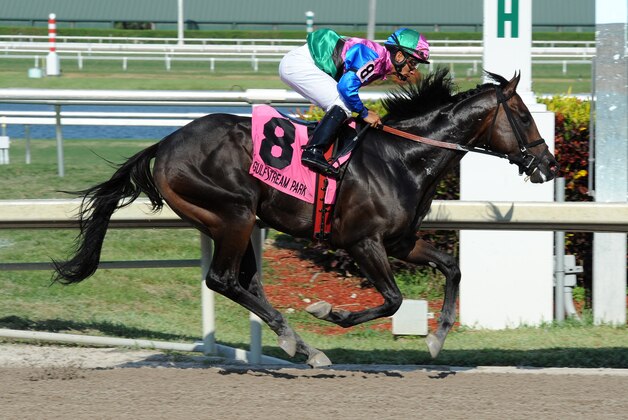 In a photo provided by Gulfstream Park, Itsmyluckyday, with jockey Paco Lopez, captures the Best of the Rest horse race at Gulfstream Park on Saturday, April 26, 2014, in Hallandale Beach, Fla. (AP Photo/Gulfstream Park/Coglianese Photos, Lauren King)