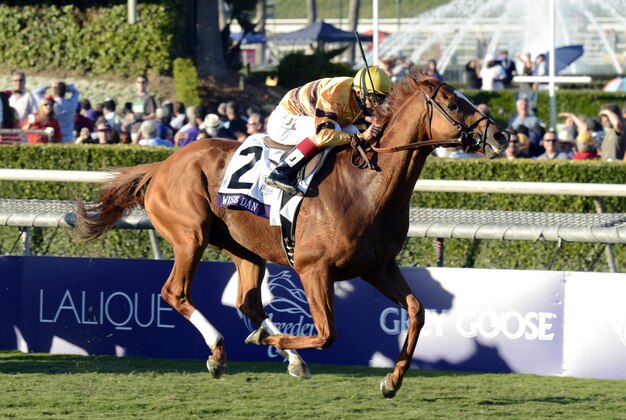 November 3, 2012; Arcadia, CA, USA; John Velazquez aboard Wise Dan sprints to the finish during race eleven at the 2012 Breeders' Cup Championships at Santa Anita Park. Mandatory Credit: Richard Mackson-USA TODAY Sports