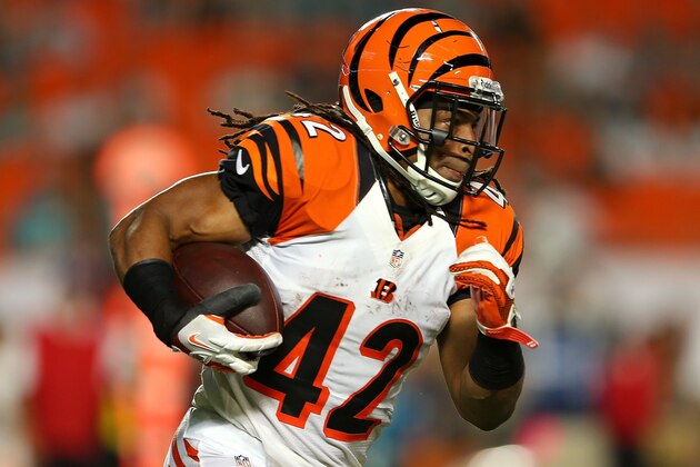 MIAMI GARDENS, FL - OCTOBER 31: BenJarvus Green-Ellis #42 of the Cincinnati Bengals rushes during a game against the Miami Dolphins at Sun Life Stadium on October 31, 2013 in Miami Gardens, Florida. (Photo by Mike Ehrmann/Getty Images)