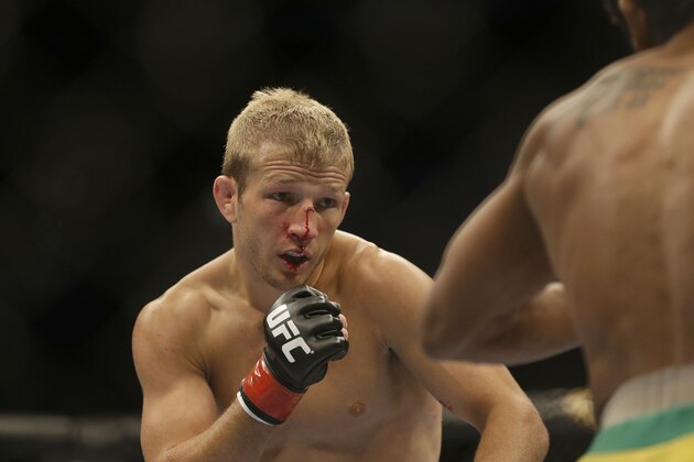 T.J. Dillashaw fights Hugo Viani during the first round of a UFC bantamweight mixed martial arts fight in San Jose, Calif., Saturday, April 20, 2013. (AP Photo/Jeff Chiu)