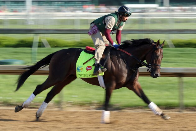 LOUISVILLE, KY - MAY 01: Itsmyluckyday trained by Eddie Plesa Jr runs on the track during the morning training for the 2013 Kentucky Derby at Churchill Downs on May 1, 2013 in Louisville, Kentucky.  (Photo by Andy Lyons/Getty Images)
