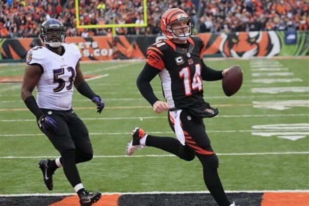 Cincinnati Bengals quarterback Andy Dalton (14) scores a touchdown past Baltimore Ravens inside linebacker Jameel McClain (53) in the second half of an NFL football game, Sunday, Dec. 29, 2013, in Cincinnati. (AP Photo/Tom Uhlman)