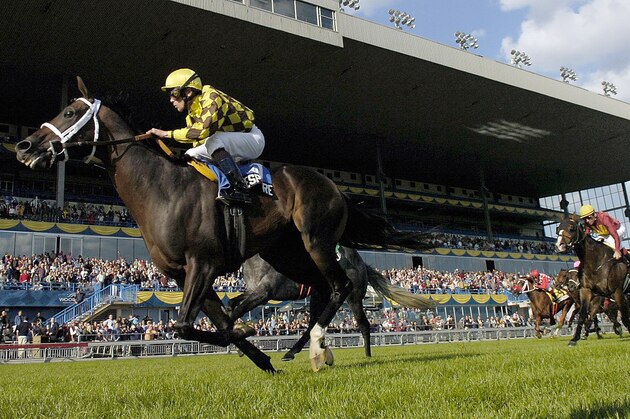In this photo provided by photographer Michael Burns, jockey Garrett Gomez rallies up the rail aboard Shakespeare to capture the $1,000,000  Woodbine Mile over the E.P.Taylor turf course at Woodbine in Toronto, Canada, on Sunday Sept. 16, 2007.  (AP Photo/Michael Burns,CP)