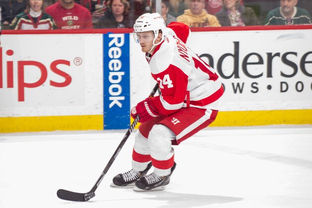 ST. PAUL, MN - MARCH 22: Gustav Nyquist #14 of the Detroit Red Wings skates with the puck against the Minnesota Wild during the game on March 22, 2014 at the Xcel Energy Center in St. Paul, Minnesota. (Photo by Bruce Kluckhohn/NHLI via Getty Images)