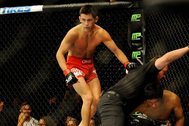 Sep 27, 2014; Las Vegas, NV, USA; The referee calls off the fight after Dominick Cruz (red gloves) knocks out Takeya Mizugaki (blue gloves) during the first round of a bantamweight fight in UFC 178 at MGM Grand Garden Arena. Mandatory Credit: Stephen R. Sylvanie-USA TODAY Sports