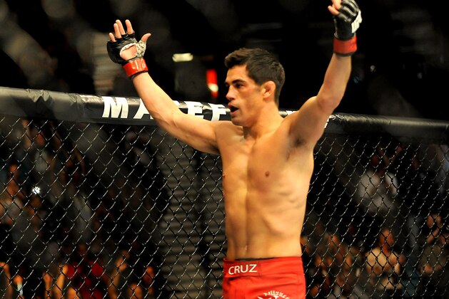 Sep 27, 2014; Las Vegas, NV, USA; Dominick Cruz celebrates his knockout victory in the first round over Takeya Mizugaki during a bantamweight fight in UFC 178 at MGM Grand Garden Arena. Mandatory Credit: Stephen R. Sylvanie-USA TODAY Sports