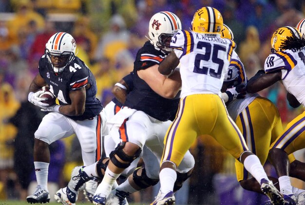 Sep 21, 2013; Baton Rouge, LA, USA; Auburn Tigers running back Cameron Artis-Payne (44) carries the ball against the LSU Tigers in the first quarter at Tiger Stadium. Mandatory Credit: Crystal LoGiudice-USA TODAY Sports