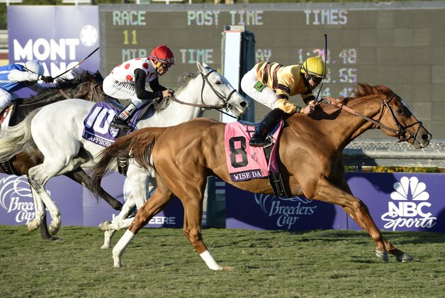 Nov 2, 2013; Arcadia, CA, USA; John Velazquez aboard Wise Dan sprints to the finish during eleven of the 2013 Breeders' Cup Championships at Santa Anita Park. Mandatory Credit: Richard Mackson-USA TODAY Sports