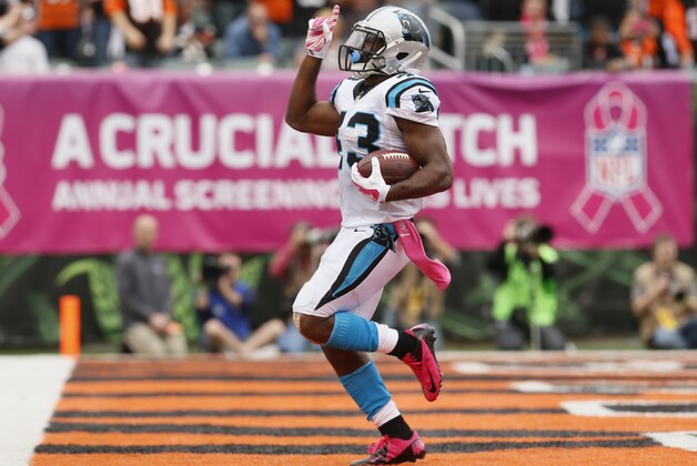 Carolina Panthers running back Fozzy Whittaker scores on a four yard run in the second half of an NFL football game against the Cincinnati Bengals, Sunday, Oct. 12, 2014, in Cincinnati. (AP Photo/Paul Sancya)