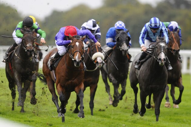 ASCOT, ENGLAND - OCTOBER 04:  John Egan riding Justice Day (C, red cap) win The Albert Bartlett Stakes at Ascot racecourse on October 04, 2014 in Ascot, England. (Photo by Alan Crowhurst/Getty Images for Ascot Racecourse)