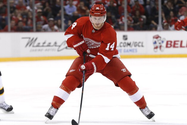 Detroit Red Wings center Gustav Nyquist (14) skates against the Boston Bruins in the second period of a NHL hockey game in Detroit Wednesday, Oct. 15, 2014. (AP Photo/Paul Sancya)