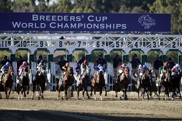 Nov 1, 2013; Arcadia, CA, USA; Riders leave the start gate for race eight of the 2013 Breeders' Cup Championships at Santa Anita Park.  Mandatory Credit: Robert Hanashiro-USA TODAY Sports