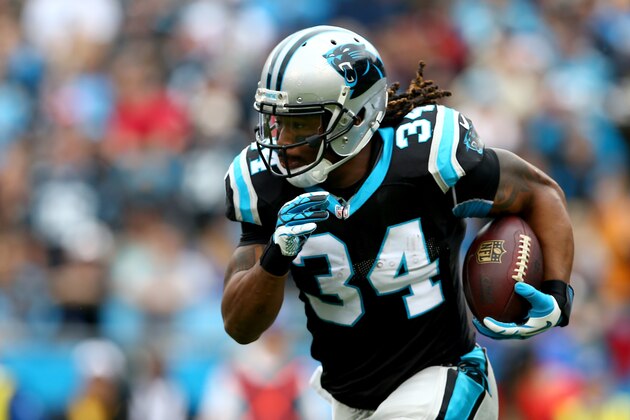 CHARLOTTE, NC - DECEMBER 22:  DeAngelo Williams #34 of the Carolina Panthers during their game at Bank of America Stadium on December 22, 2013 in Charlotte, North Carolina.  (Photo by Streeter Lecka/Getty Images)