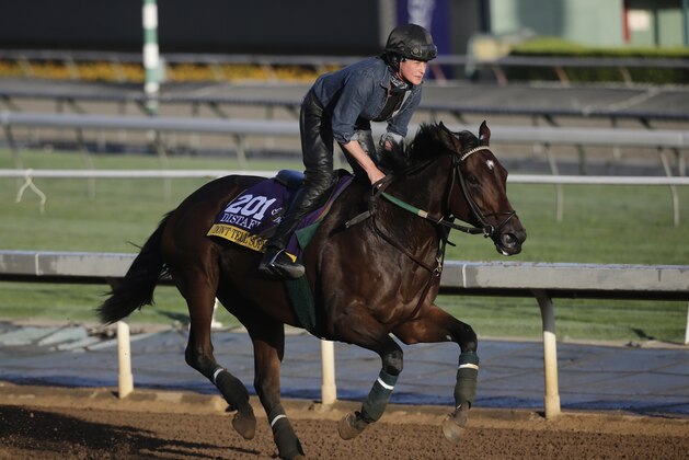 An exercise rider takes Don't Tell Sophia for a morning workout ahead of the Breeders' Cup races at Santa Anita Park Tuesday, Oct. 28, 2014, in Arcadia, Calif. (AP Photo/Jae C. Hong)