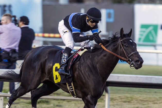 Jockey Corey Nakatani celebrates with Shared Belief after winning the CashCall Futurity horse race at Betfair Hollywood Park in Inglewood, Calif., on Saturday, Dec. 14, 2013. (AP Photo/Ringo H.W. Chiu)