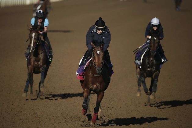 With exercise riders up, Karakontie, from left, Anodin and Flintshire train during a morning workout session ahead of the Breeders' Cup races at Santa Anita Park Wednesday, Oct. 29, 2014, in Arcadia, Calif. (AP Photo/Jae C. Hong)
