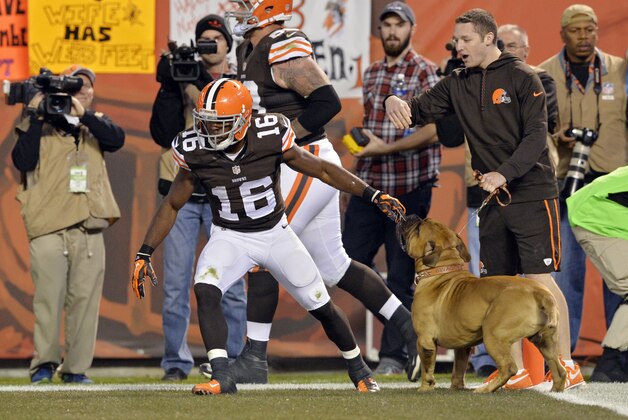 Cleveland Browns wide receiver Andrew Hawkins (16) celebrates with mascot