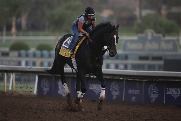 An exercise rider takes Prayer for Relief for a morning workout ahead of the Breeders' Cup Classic horse race at Santa Anita Park Wednesday, Oct. 29, 2014, in Arcadia, Calif. (AP Photo/Jae C. Hong)