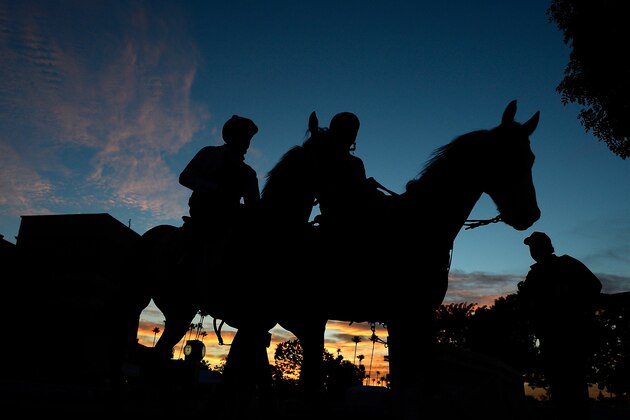 ARCADIA, CA - OCTOBER 30:  Shared Belief is lead back to the stables after training in preparation for the 2014 Breeder's Cup Classic at Santa Anita Park on October 30, 2014 in Arcadia, California.  (Photo by Harry How/Getty Images)