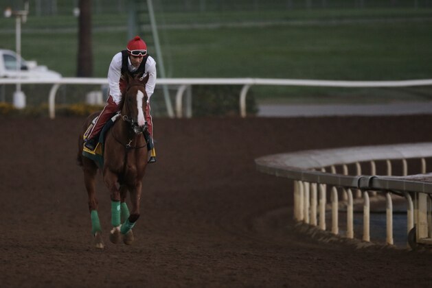 Exercise rider Willie Delgado takes California Chrome for a morning workout ahead of the Breeders' Cup Classic horse race at Santa Anita Park Wednesday, Oct. 29, 2014, in Arcadia, Calif. (AP Photo/Jae C. Hong)