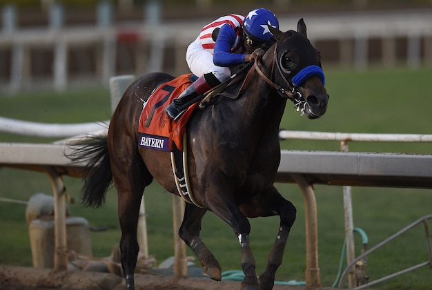 November 1, 2014; Santa Anita , CA, USA; Martin Garcia aboard Bayern sprints to the finish in race twelve during the 2014 Breeders Cup Championships at Santa Anita Park. Mandatory Credit: Kelvin Kuo-USA TODAY Sports