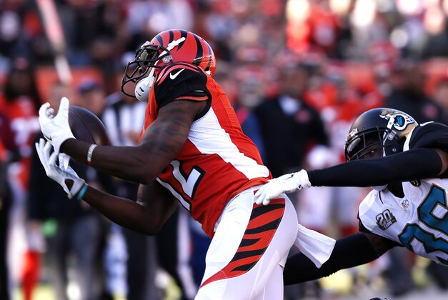 Nov 2, 2014; Cincinnati, OH, USA; Cincinnati Bengals wide receiver Mohamed Sanu (12) makes a catch against Jacksonville Jaguars strong safety Sherrod Martin (36) during the first half at Paul Brown Stadium. Mandatory Credit: Aaron Doster-USA TODAY Sports