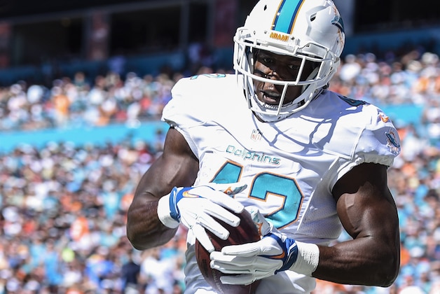 Nov 2, 2014; Miami Gardens, FL, USA; Miami Dolphins tight end Charles Clay (42) makes the touchdown catch in the first half against the San Diego Chargers at Sun Life Stadium. Mandatory Credit: Brad Barr-USA TODAY Sports