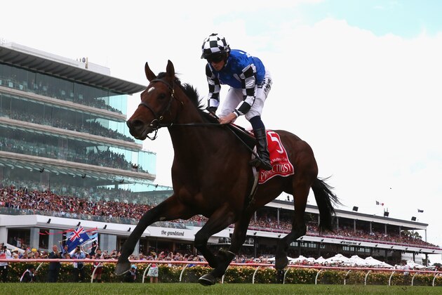 MELBOURNE, AUSTRALIA - NOVEMBER 04:  Ryan Moore rides Protectionist to win the Emirates Melbourne Cup on Melbourne Cup Day at Flemington Racecourse on November 4, 2014 in Melbourne, Australia.  (Photo by Robert Cianflone/Getty Images)