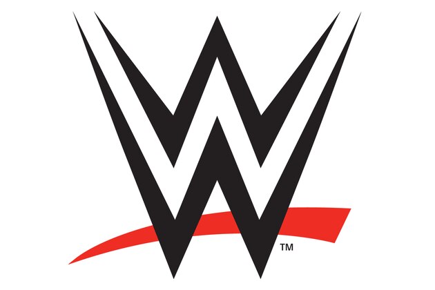 This graphic released by the WWE shows the logo for the new WWE network. The WWE Network launches Feb. 24, 2014 as a streaming service for $9.99 per month with a six-month commitment and will include all 12 pay-per-view events. (AP Photo/WWE)
