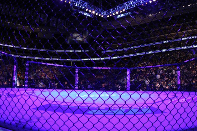 An overall, general view of the Octagon at the Prudential Center at UFC 159 in Newark, NJ, Saturday, April 27,2013.   (AP Photo/Gregory Payan)