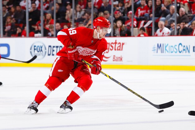 Oct 31, 2014; Detroit, MI, USA; Detroit Red Wings right wing Andrej Nestrasil (49) skates with the puck against the Los Angeles Kings at Joe Louis Arena. Mandatory Credit: Rick Osentoski-USA TODAY Sports