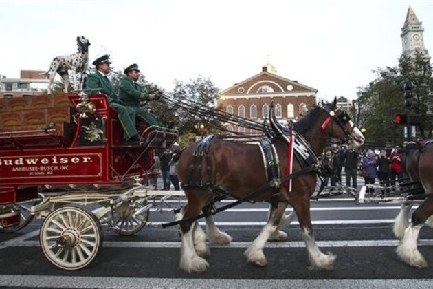 IMAGE DISTRIBUTED FOR BUDWEISER - The world famous Budweiser Clydesdale Hitch makes its way down Congress Street in Boston, MA, Saturday, Oct. 11, 2014. Budweiser is encouraging everyone to make a plan to make it home safely and provide free Lyft rides in Boston over the weekend. Some pickups featured a surprise appearance by the world famous Budweiser Clydesdales.  (Cheryl Senter/AP Images for Budweiser)