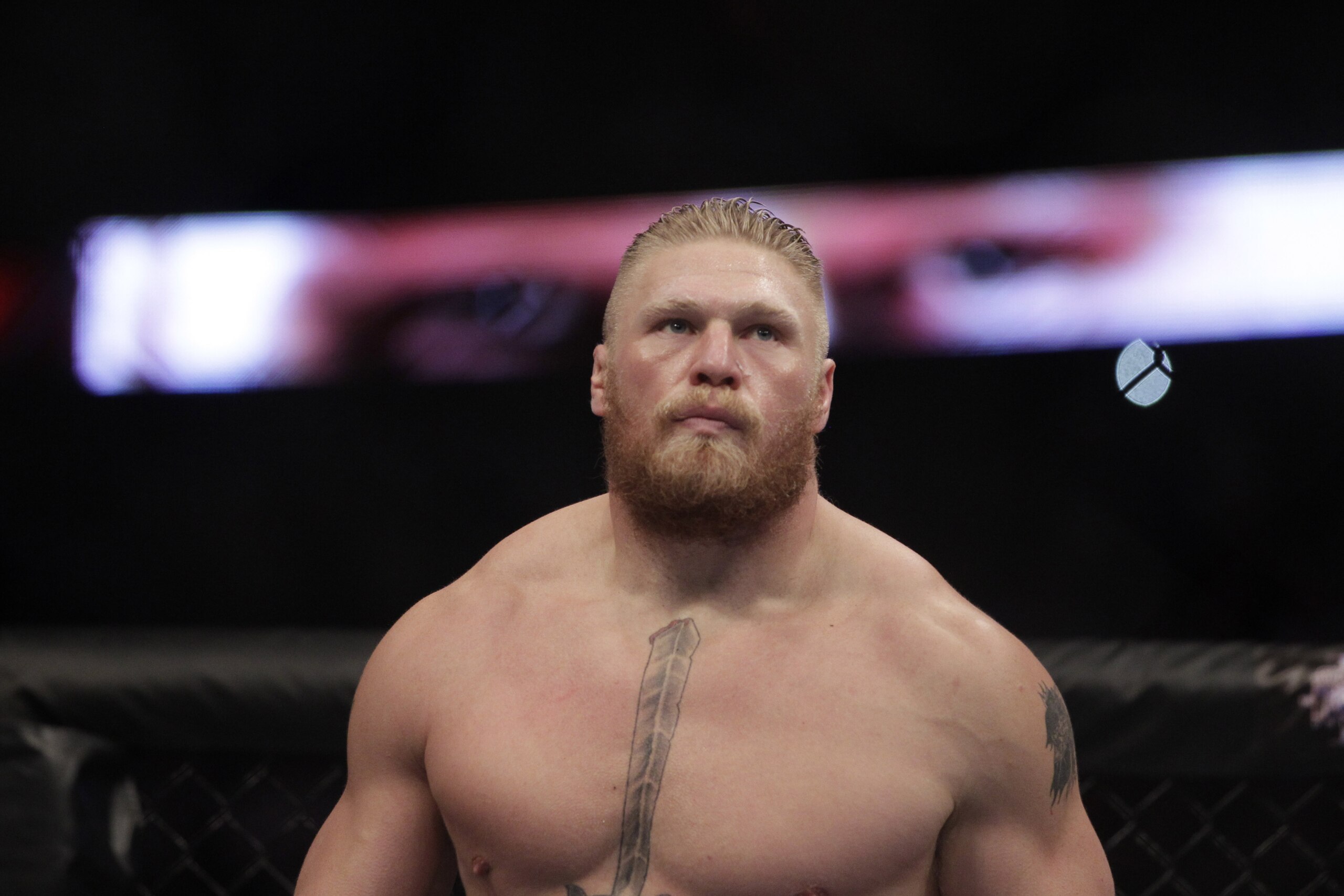 Brock Lesnar during a UFC mixed martial arts match with Cain Velasquez in Anaheim, Calif., Saturday, Oct. 23, 2010. Velasquez won by TKO in the first round. (AP Photo/Jae C. Hong)