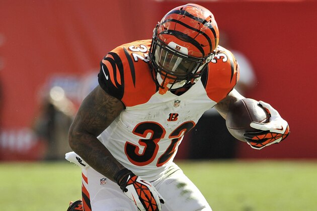 Cincinnati Bengals' Jeremy Hill (32) carries the ball during their NFL football game against the Tampa Bay Buccaneers Sunday, Nov. 30, 2014 in Tampa, Fla. (AP Photo/Steve Nesius)