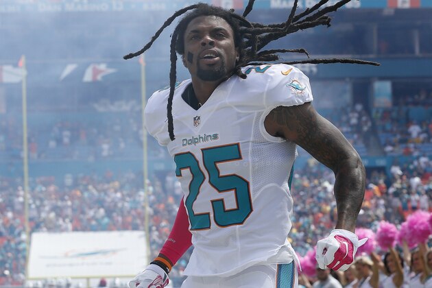 MIAMI GARDENS, FL - OCTOBER 12:  Safety Louis Delmas #25 of the Miami Dolphins  enters the field before the Dolphins met the Green Bay Packers during a game at Sun Life Stadium on October 12, 2014 in Miami Gardens, Florida.  (Photo by Joel Auerbach/Getty Images)