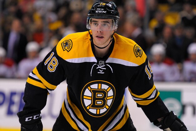 Nov 22, 2014; Boston, MA, USA; Boston Bruins right wing Reilly Smith (18) during the third period against the Montreal Canadiens at TD Banknorth Garden. Mandatory Credit: Bob DeChiara-USA TODAY Sports