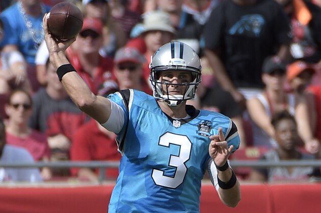 Carolina Panthers quarterback Derek Anderson (3) throws a pass during the first half of an NFL football game against the Tampa Bay Buccaneers in Tampa, Fla., Sunday, Sept. 7, 2014.(AP Photo/Phelan M. Ebenhack)