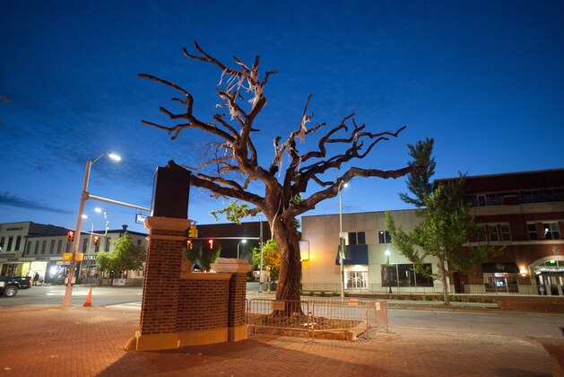 AUBURN, AL - APRIL 23:  The sun rises the morning that the live oak trees will be cut down by crews from the Asplundh tree service on April 23, 2013 at Toomer's Corner in Auburn, Alabama. Auburn University decided to remove the dying oaks after they were poisoned by a rival fan shortly after the 2010 Iron Bowl.  (Photo by Michael Chang/Getty Images)