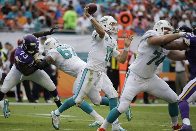 Miami Dolphins quarterback Ryan Tannehill (17) looks to pass during the first half of an NFL football game against the Minnesota Vikings, Sunday, Dec. 21, 2014, in Miami Gardens, Fla. (AP Photo/Lynne Sladky)